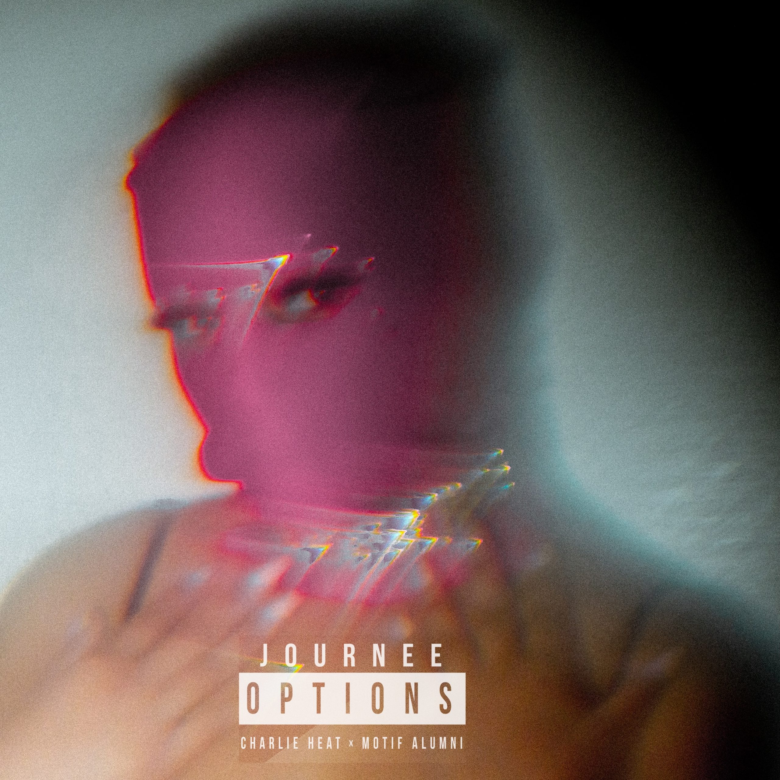 journee options cover