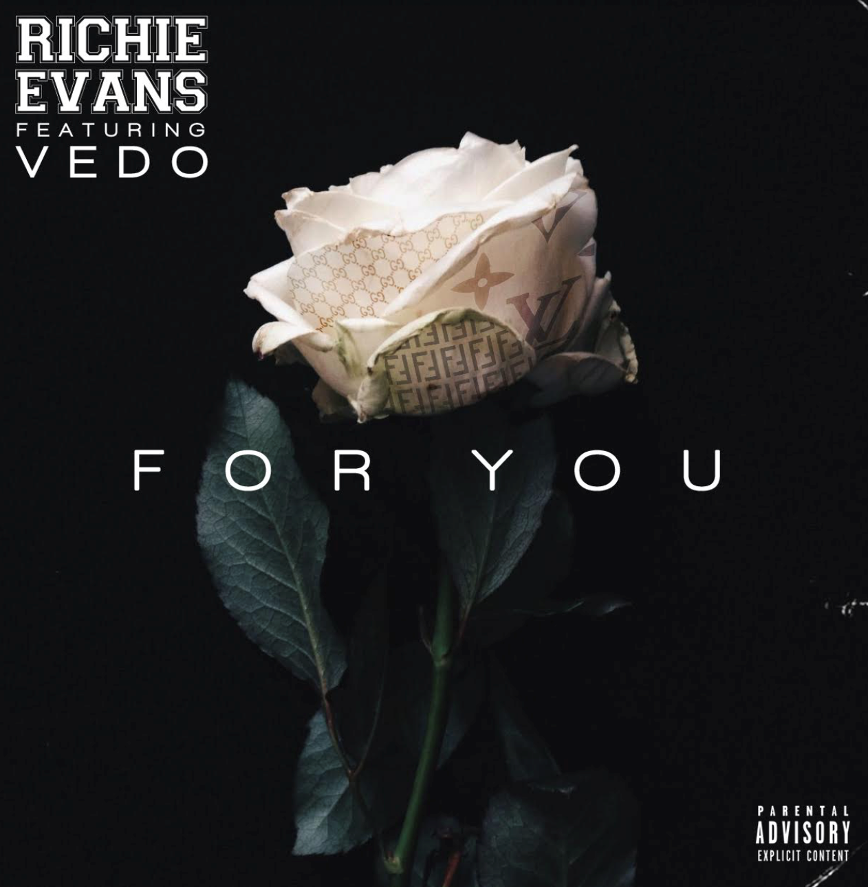 richie evans for you feat vedo